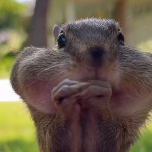 Meet your Posher, Jade